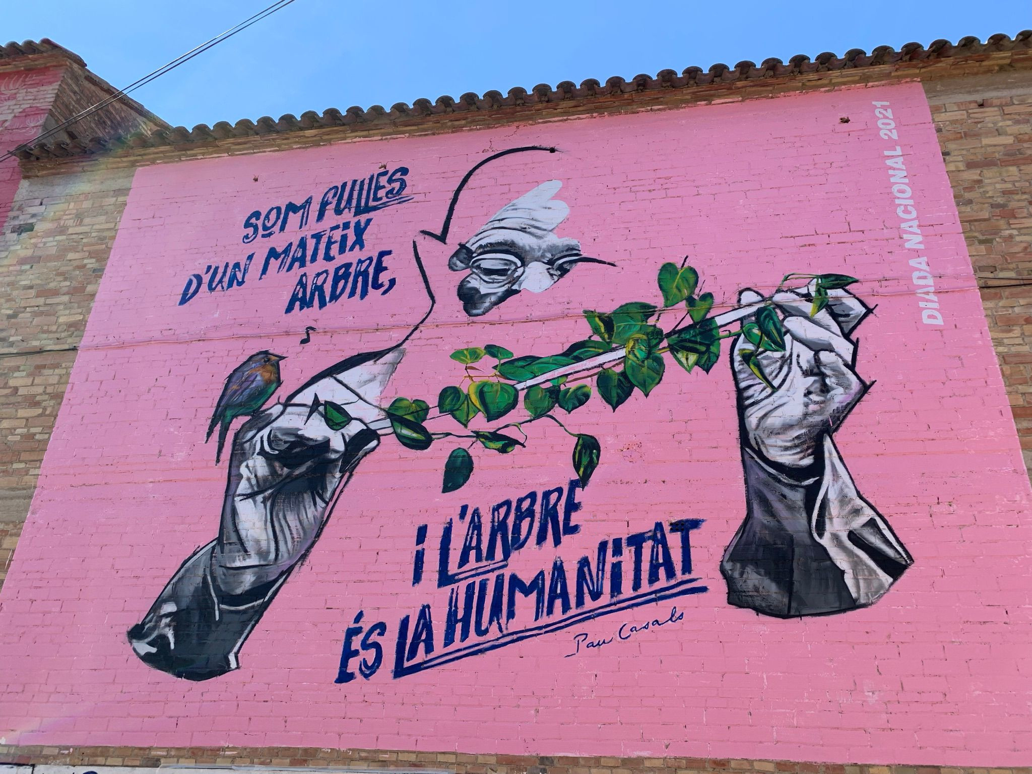 Diada Nacional Pau Casals